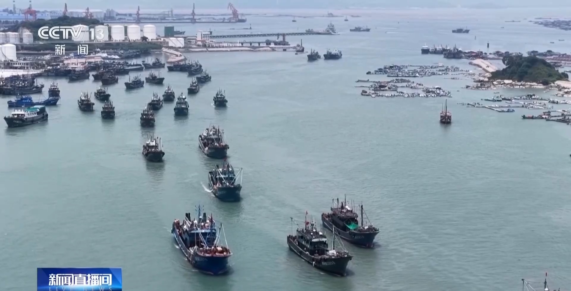 开渔“第一网”新鲜上市!多地海鲜迎来供销高峰 开渔“第一网”新鲜上市!多地海鲜迎来供销高峰