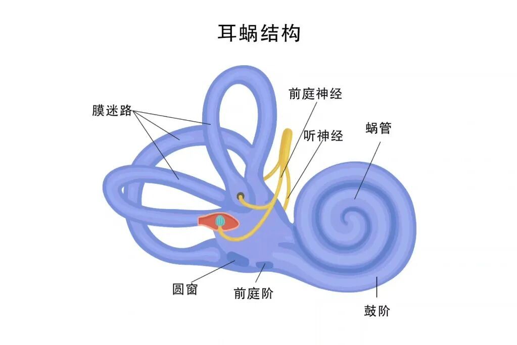 连续直播6小时后，她耳鸣彻夜未眠！医生：再晚几天可能……