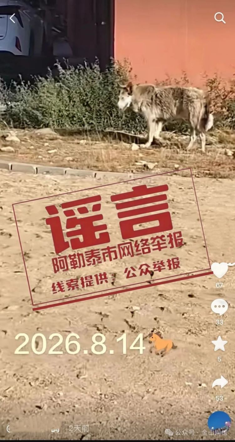 阿勒泰出现野生狼？官方公告来了！