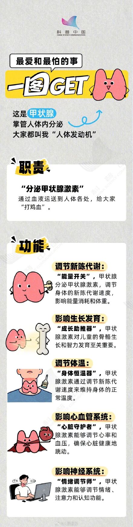 转存！你真的懂自己的甲状腺吗？