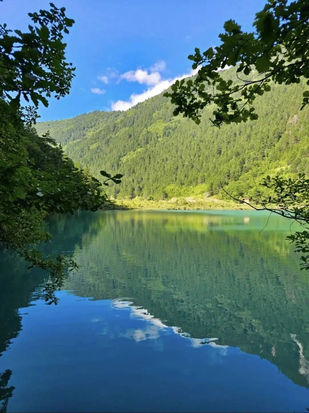 “请3休13”冲上热搜！网友“求助” 请假话术，有企业开放居家办公，节日初期部分机票低至2折