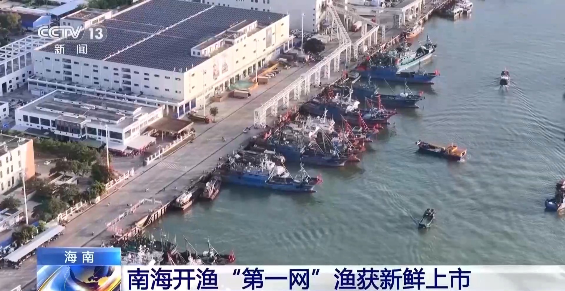 开渔“第一网”新鲜上市!多地海鲜迎来供销高峰 开渔“第一网”新鲜上市!多地海鲜迎来供销高峰