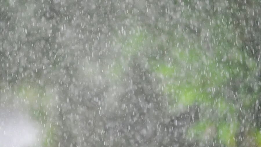 广东,今起有大雨、暴雨! 广东,今起有大雨、暴雨!