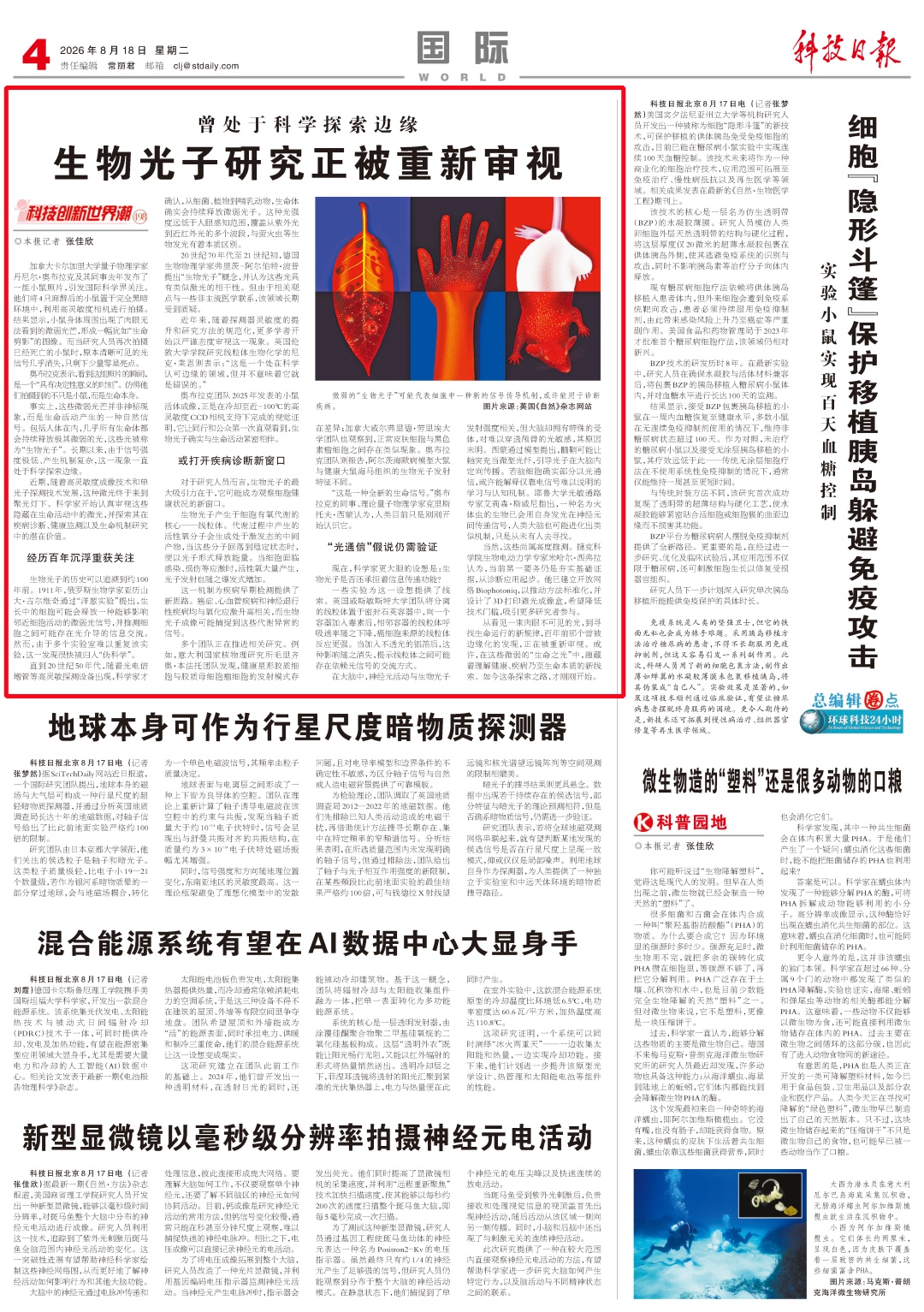 100年后重获关注!几乎所有生命体都会持续释放的光,到底是什么? 100年后重获关注!几乎所有生命体都会持续释放的光,到底是什么?