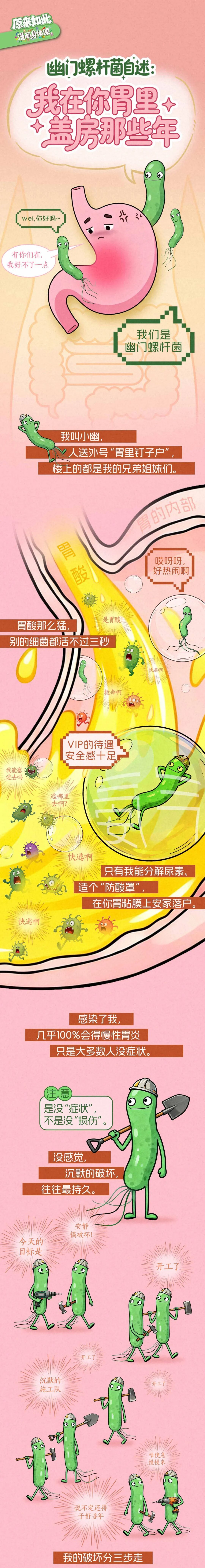 幽门螺杆菌自述：我在你胃里盖房那些年