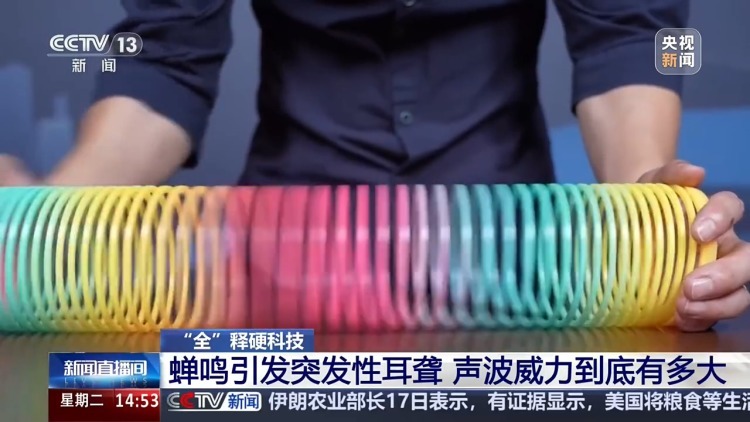 蝉鸣引发突发性耳聋 声波威力到底有多大? 蝉鸣引发突发性耳聋 声波威力到底有多大?
