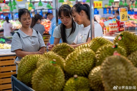 榴莲价格迎来大幅跳水，批发价跌破每斤15元