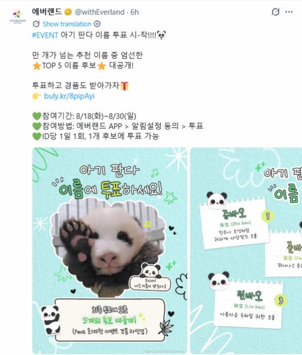 五选一! 韩国爱宝乐园为大熊猫宝宝取名开启全民投票 五选一! 韩国爱宝乐园为大熊猫宝宝取名开启全民投票