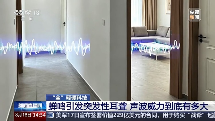 蝉鸣引发突发性耳聋 声波威力到底有多大? 蝉鸣引发突发性耳聋 声波威力到底有多大?