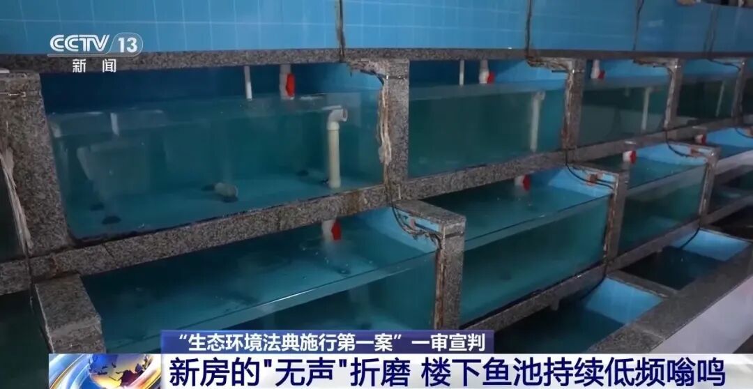 【法在身边】噪音达标也算扰民！生态环境法典首案打破“唯分贝论”