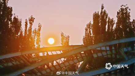 北京奥森南园大雁齐聚 北京奥森南园大雁齐聚