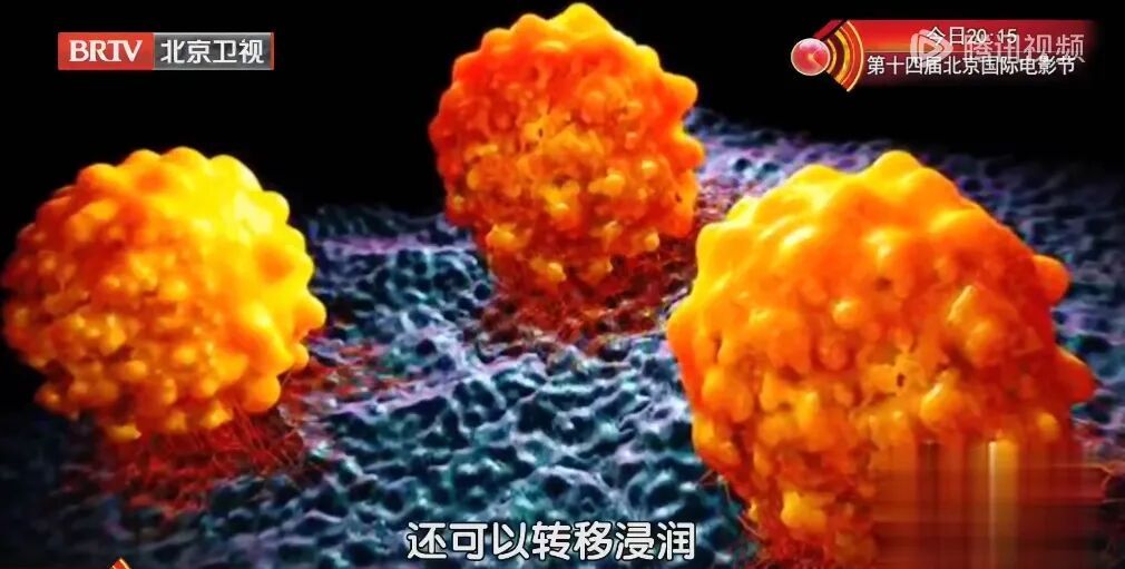 这个果子生吃清肠、抗衰老，晒干后更补钙，8月遇到别手软，怎么吃都值