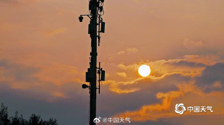 北京奥森南园大雁齐聚 北京奥森南园大雁齐聚