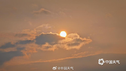 北京奥森南园大雁齐聚 北京奥森南园大雁齐聚