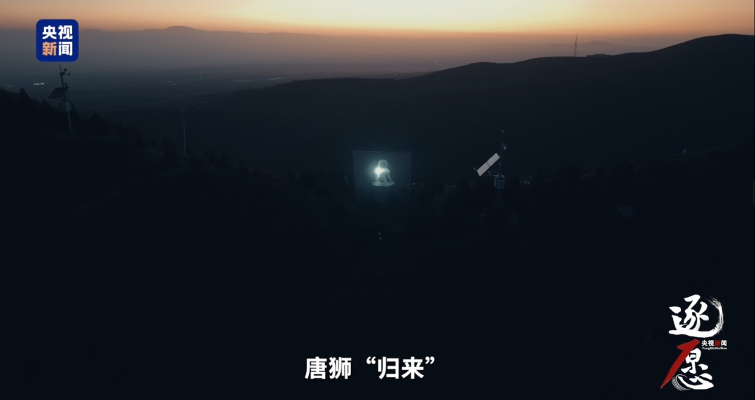两尊唐代石狮被人夜间盗走，公安部门悬赏100万元征集破案线索
