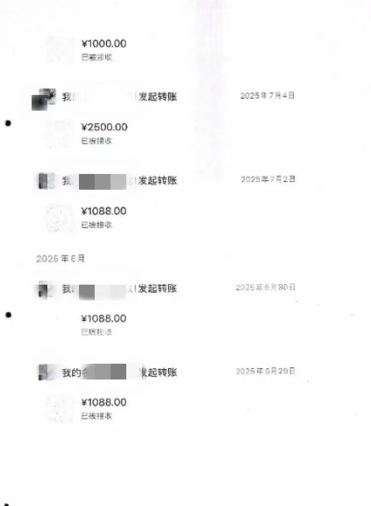 上海公交站旁偶遇奄奄一息流浪猫，女子好心相助，结局彻底崩溃……