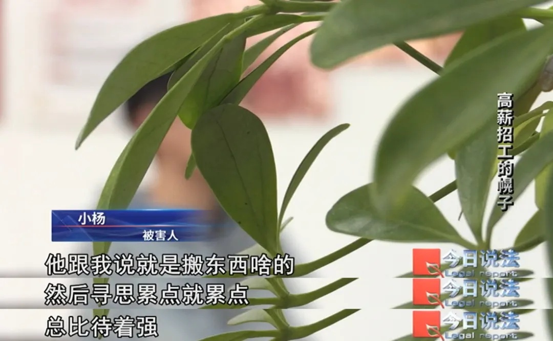 为了骗你的385元“保险费”，他们居然真给你找了份工作