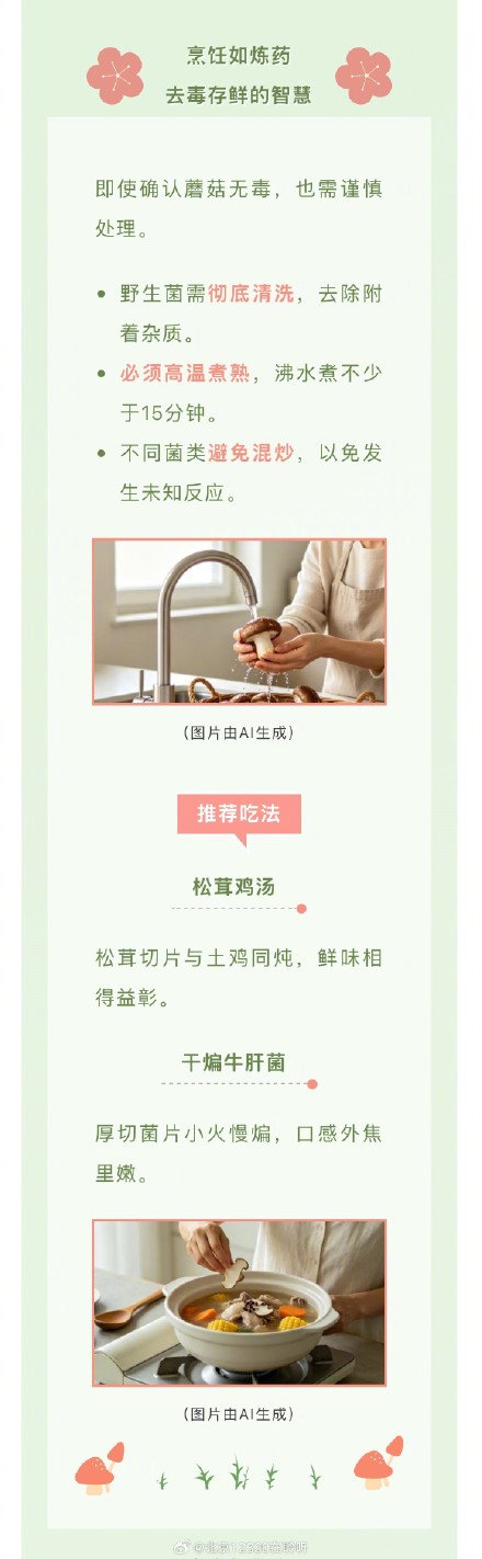 雨后山林的神秘派对:识别毒蘑菇的“伪装术” 雨后山林的神秘派对:识别毒蘑菇的“伪装术”