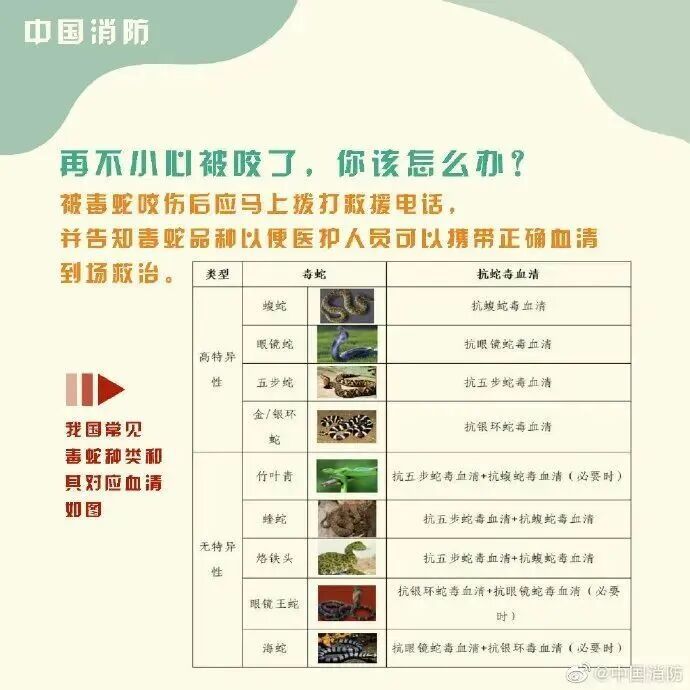 车里总有股臭味!女子凑近副驾驶惊呆: 一条蛇死了三四天… 车里总有股臭味!女子凑近副驾驶惊呆: 一条蛇死了三四天…