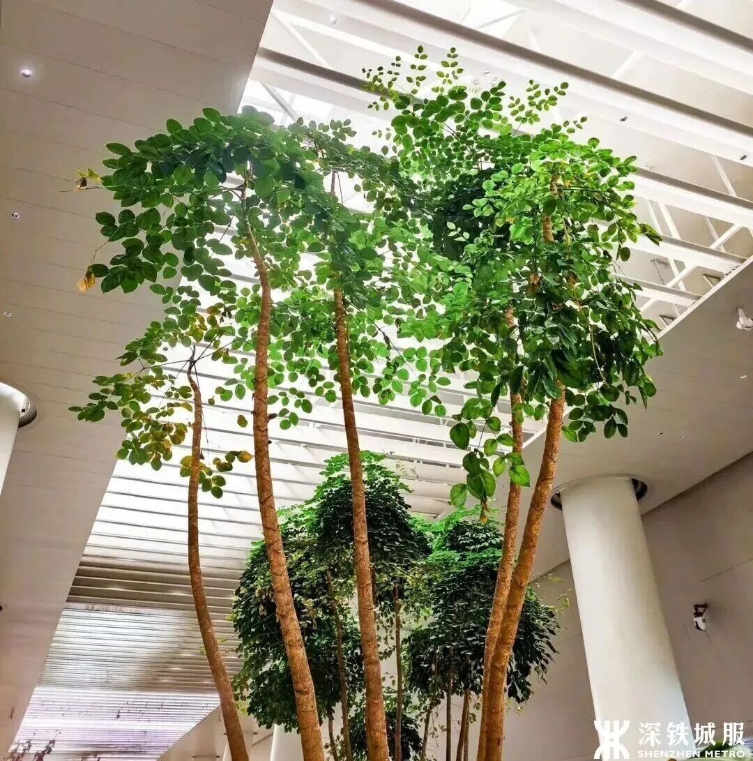 深圳地铁站里,小到“离谱”的迷你椅子是给谁安排的? 深圳地铁站里,小到“离谱”的迷你椅子是给谁安排的?