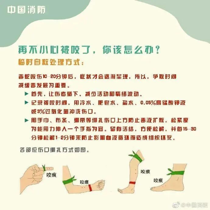 车里总有股臭味!女子凑近副驾驶惊呆: 一条蛇死了三四天… 车里总有股臭味!女子凑近副驾驶惊呆: 一条蛇死了三四天…