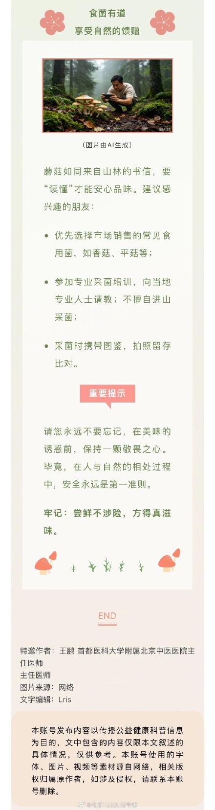 雨后山林的神秘派对:识别毒蘑菇的“伪装术” 雨后山林的神秘派对:识别毒蘑菇的“伪装术”