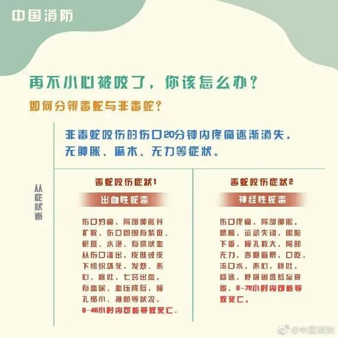 车里总有股臭味!女子凑近副驾驶惊呆: 一条蛇死了三四天… 车里总有股臭味!女子凑近副驾驶惊呆: 一条蛇死了三四天…