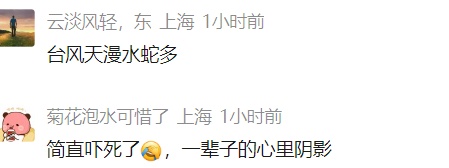 车里总有股臭味!女子凑近副驾驶惊呆: 一条蛇死了三四天… 车里总有股臭味!女子凑近副驾驶惊呆: 一条蛇死了三四天…