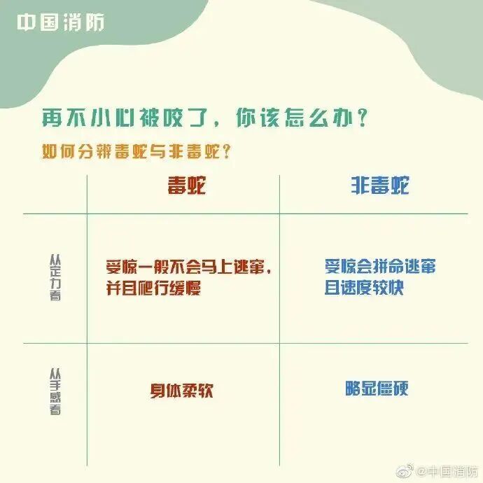 车里总有股臭味!女子凑近副驾驶惊呆: 一条蛇死了三四天… 车里总有股臭味!女子凑近副驾驶惊呆: 一条蛇死了三四天…
