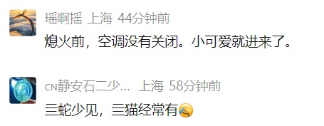 车里总有股臭味!女子凑近副驾驶惊呆: 一条蛇死了三四天… 车里总有股臭味!女子凑近副驾驶惊呆: 一条蛇死了三四天…