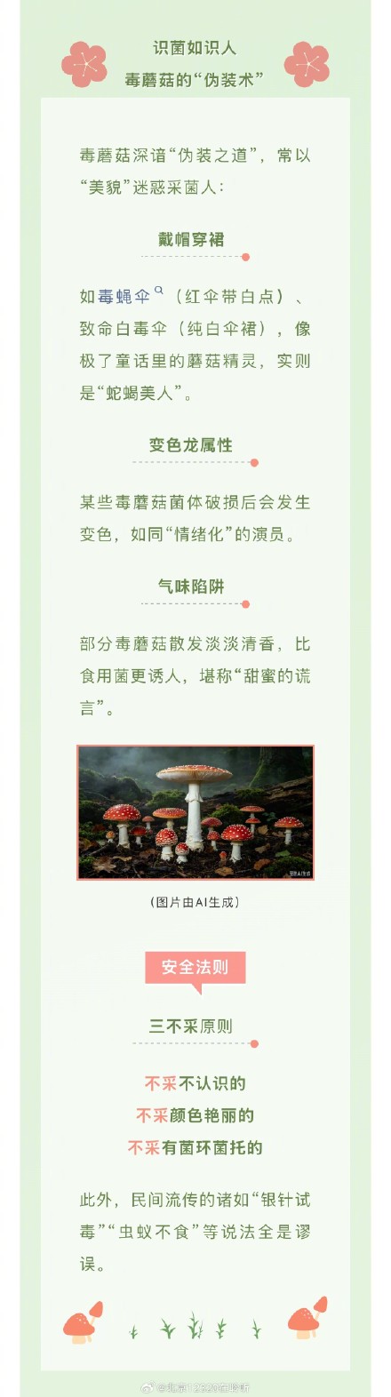 雨后山林的神秘派对:识别毒蘑菇的“伪装术” 雨后山林的神秘派对:识别毒蘑菇的“伪装术”