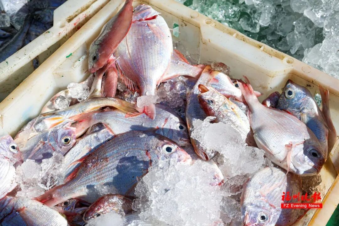 太鲜了！福州大量上市！很多人爱吃！吴女士：终于等到了