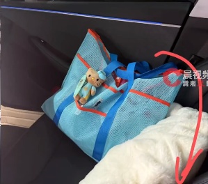 车里总有股臭味!女子凑近副驾驶惊呆: 一条蛇死了三四天… 车里总有股臭味!女子凑近副驾驶惊呆: 一条蛇死了三四天…
