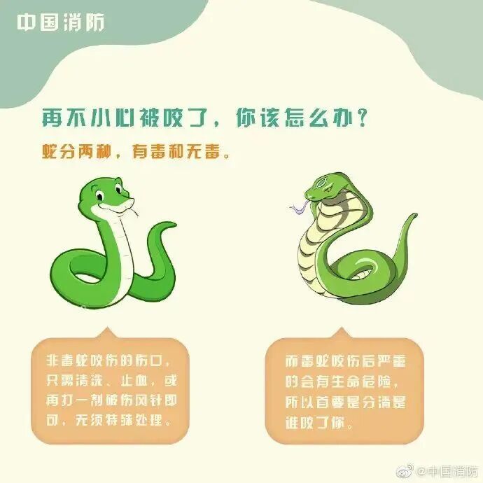 车里总有股臭味!女子凑近副驾驶惊呆: 一条蛇死了三四天… 车里总有股臭味!女子凑近副驾驶惊呆: 一条蛇死了三四天…