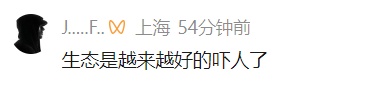 车里总有股臭味!女子凑近副驾驶惊呆: 一条蛇死了三四天… 车里总有股臭味!女子凑近副驾驶惊呆: 一条蛇死了三四天…