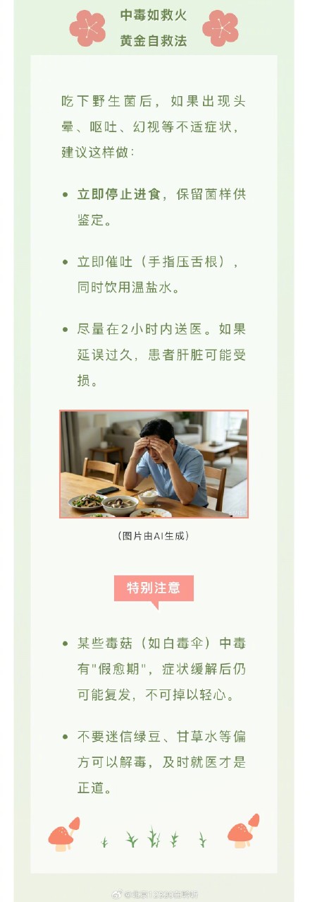 雨后山林的神秘派对:识别毒蘑菇的“伪装术” 雨后山林的神秘派对:识别毒蘑菇的“伪装术”