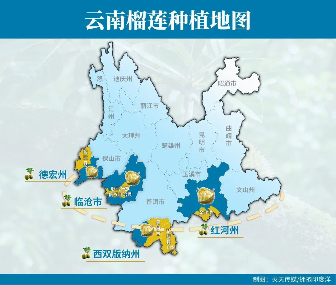 云南把榴莲价格打下来啦进口量和货值均居全国首位