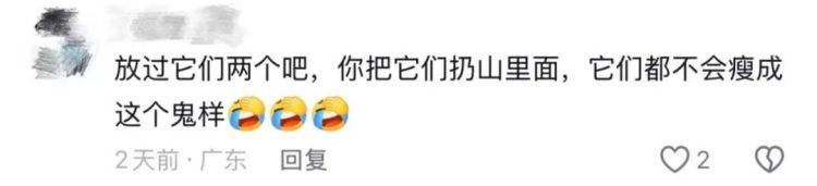 “头一次用骨瘦如柴形容猪”！“排骨猪”火了！网友自嘲：猪都能瘦，就我瘦不了……