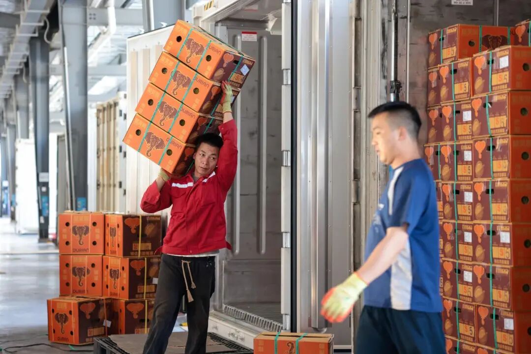 云南把榴莲价格打下来啦进口量和货值均居全国首位