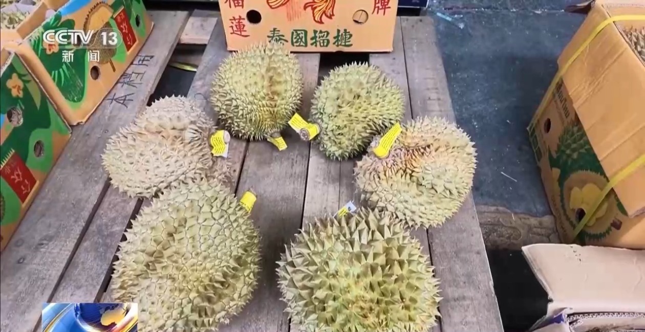 榴莲价格“大跳水”?原来是“坐”上了国际冷链列车 榴莲价格“大跳水”?原来是“坐”上了国际冷链列车