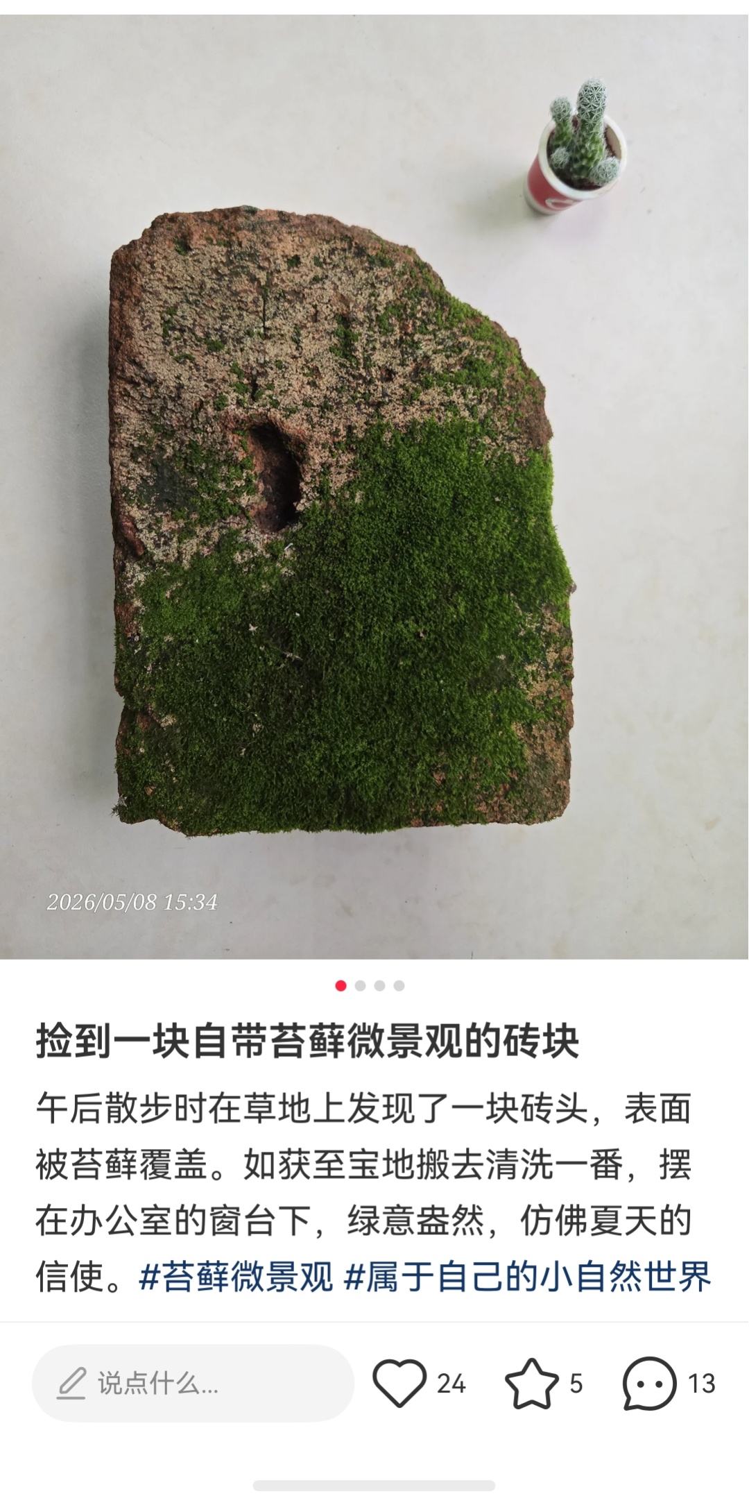 你没看错,年轻人开始流行“养砖头”了 你没看错,年轻人开始流行“养砖头”了
