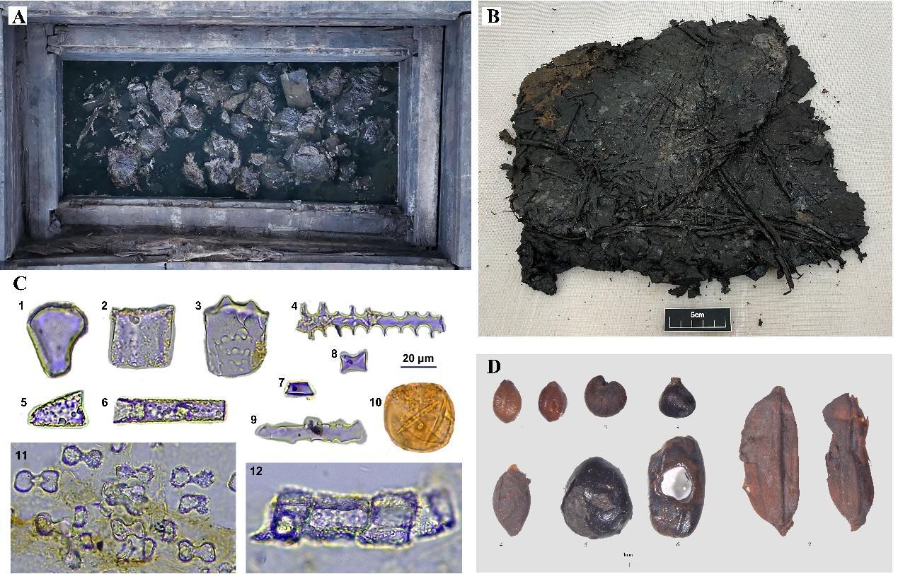 考古发现战国“类粽子”实物 粽子起源或可上溯至2200年前 考古发现战国“类粽子”实物 粽子起源或可上溯至2200年前