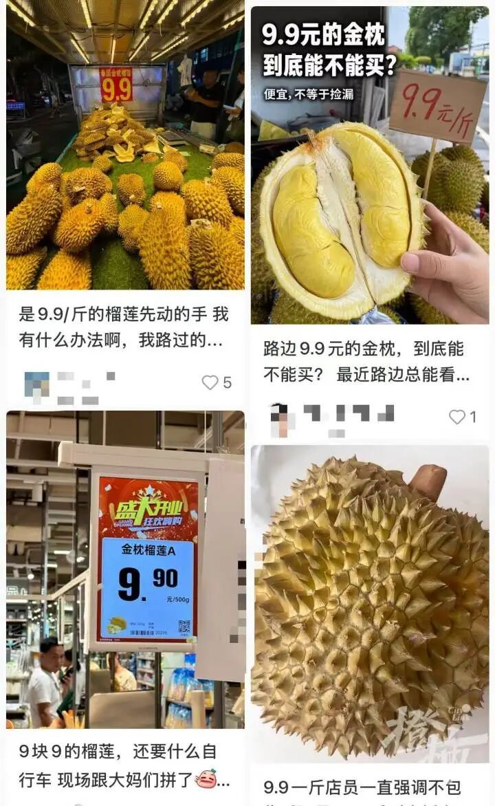 云南把榴莲价格打下来啦进口量和货值均居全国首位