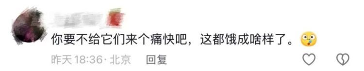“头一次用骨瘦如柴形容猪”！“排骨猪”火了！网友自嘲：猪都能瘦，就我瘦不了……