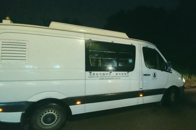 香港宠物酒店33岁女负责人喂狗后遭30公斤大狗袭击,两小时后被发现倒毙在狗舍外草地,进展:重案组介入调查 香港宠物酒店33岁女负责人喂狗后遭30公斤大狗袭击,两小时后被发现倒毙在狗舍外草地,进展:重案组介入调查