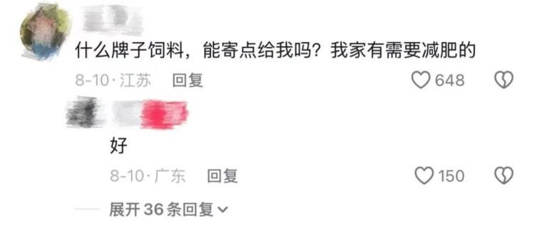 “头一次用骨瘦如柴形容猪”！“排骨猪”火了！网友自嘲：猪都能瘦，就我瘦不了……