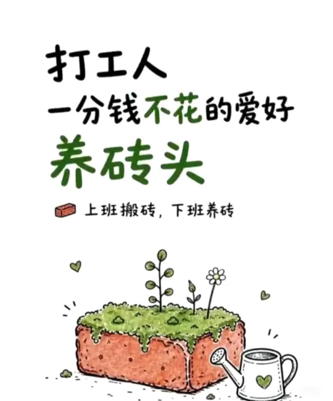 不养猫不养狗,最近年轻人流行“养砖头” 不养猫不养狗,最近年轻人流行“养砖头”