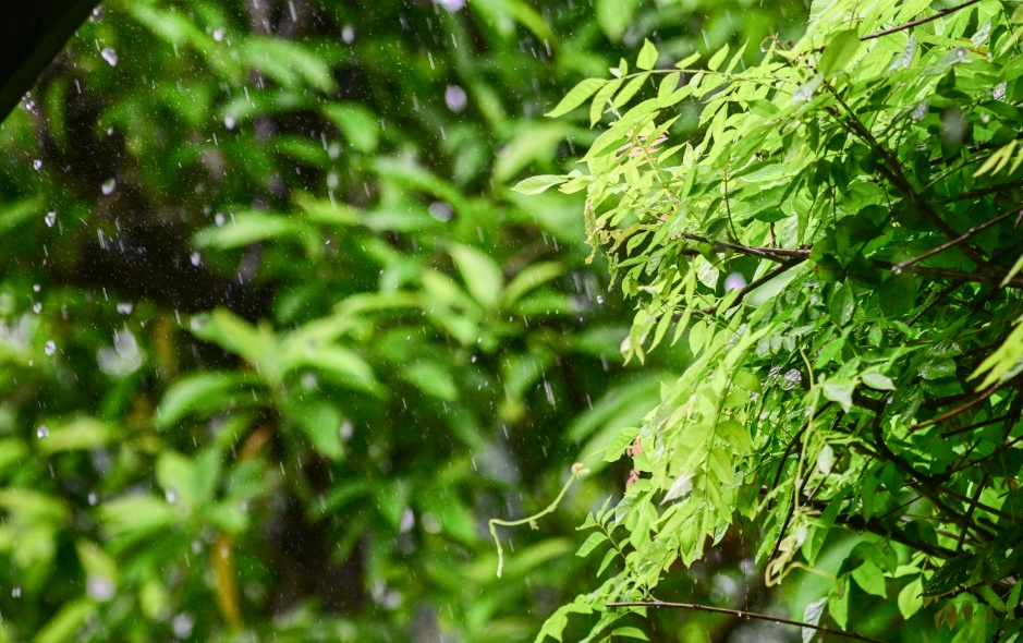 大暴雨+8级大风，今天到广东