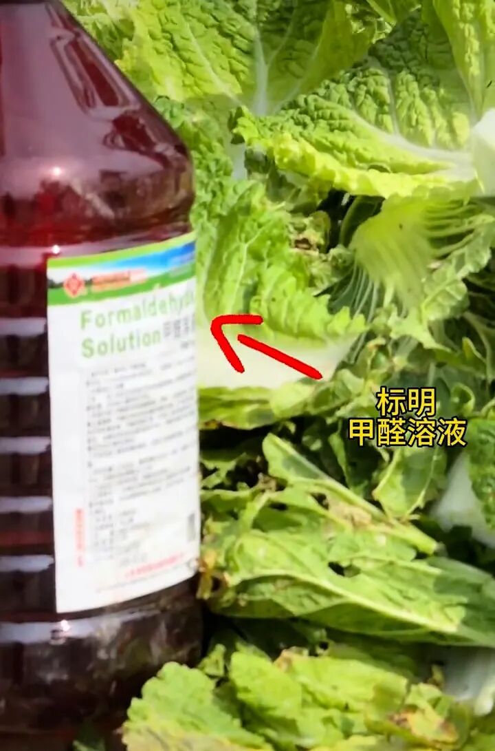“博主曝光大白菜装车前蘸甲醛保鲜”，河北张家口市监局回应