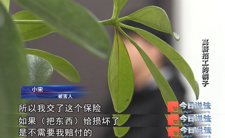 为了骗你的385元保险费,他们居然真给你找了份工作!已经有不少求职者上当了 为了骗你的385元保险费,他们居然真给你找了份工作!已经有不少求职者上当了